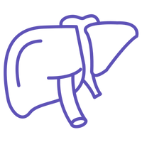 Card 7 icon