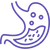Digestion & intestins